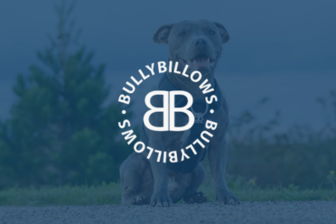 BullyBillows Unleash Growth with Peoplevox’s Ecommerce WMS for Shopify